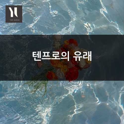 강남 텐프로란? 어원, 유래, 뜻, 시스템